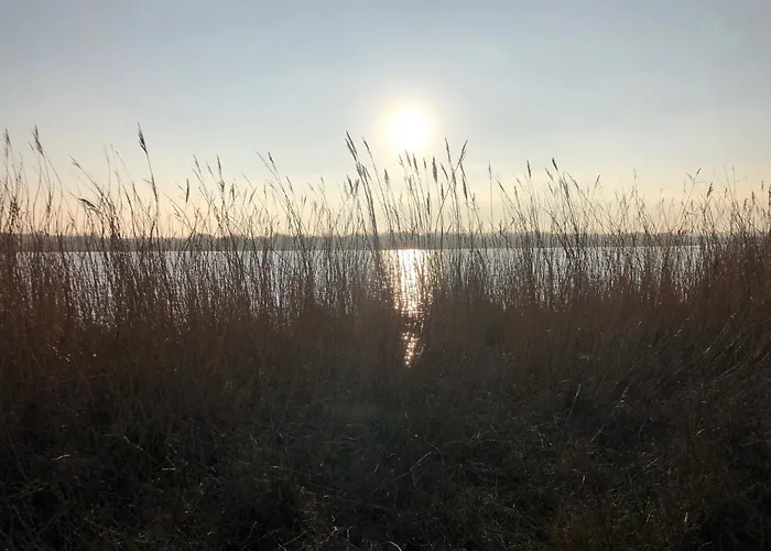 Domaine De L'o Πανσιόν 4*