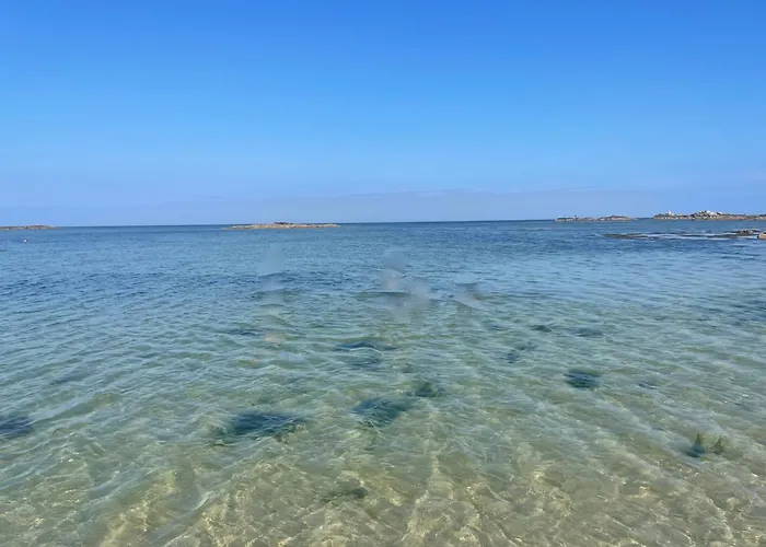 Πανσιόν Domaine De L'o 4*